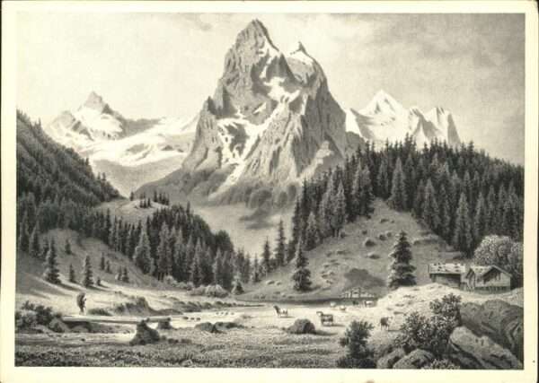 Grindelwald Grindelalp Berner Alpen Serie Die Schwe