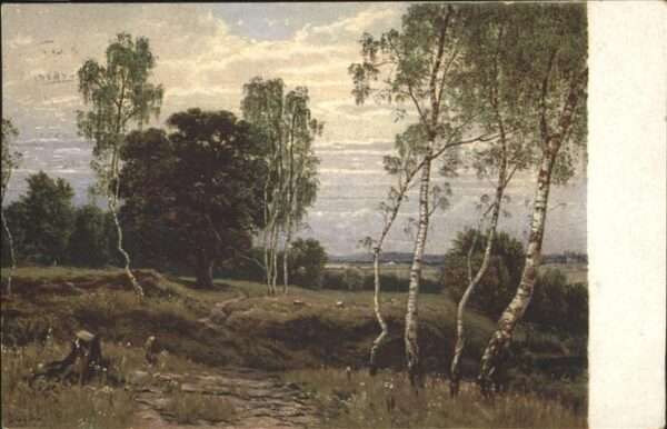 Staebli Adolf Birkenlandschaft