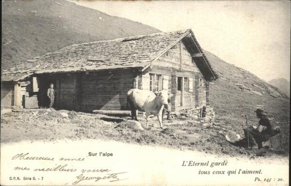 Kuehe Eternal garde Alpe
