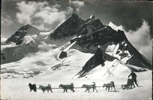 Hunde Schlitten Jungfraujoch