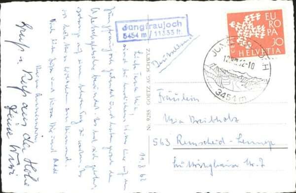 Hunde Schlitten Jungfraujoch – Bild 2