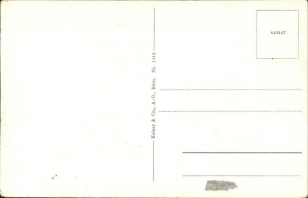 Baeren Bern Zoo – Bild 2