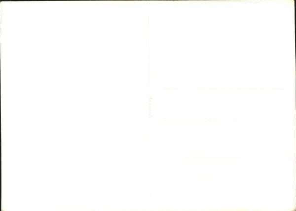 Kuehe – Bild 2