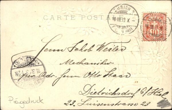 Tell Wilhelm Schweiz Edelweiss – Bild 2