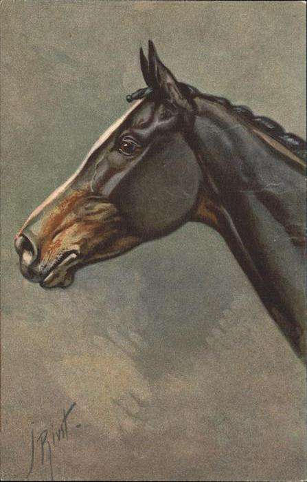 Pferde Künstlerkarte No. 154