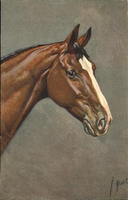 Pferde Künstlerkarte J. Rirst No. 153