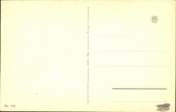 Pferde Künstlerkarte J. Rirst No. 153 – Bild 2