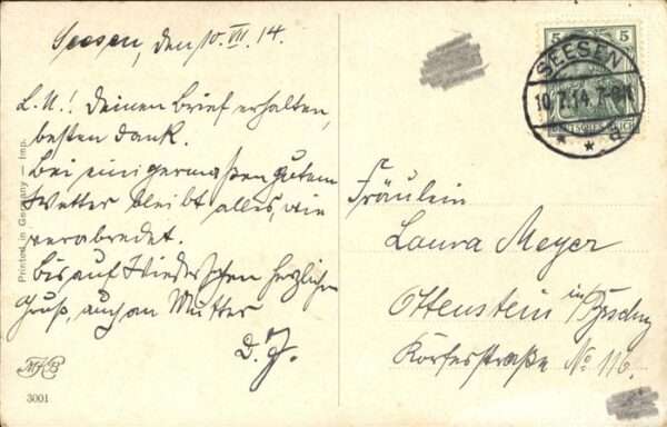 Pferde Seesen – Bild 2