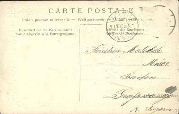 Wappenkarte Schweiz Kantone Edelweiss – Bild 2