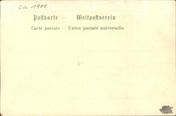 Edelweiss Schweit Wappen – Bild 2