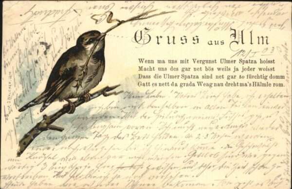 Voegel Spatz Ulm Gedicht
