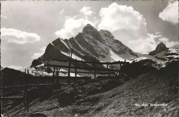 Braunwald GL