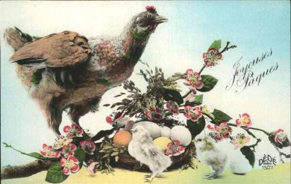 Ostern Easter Paques Küken Hahn Nest Eier