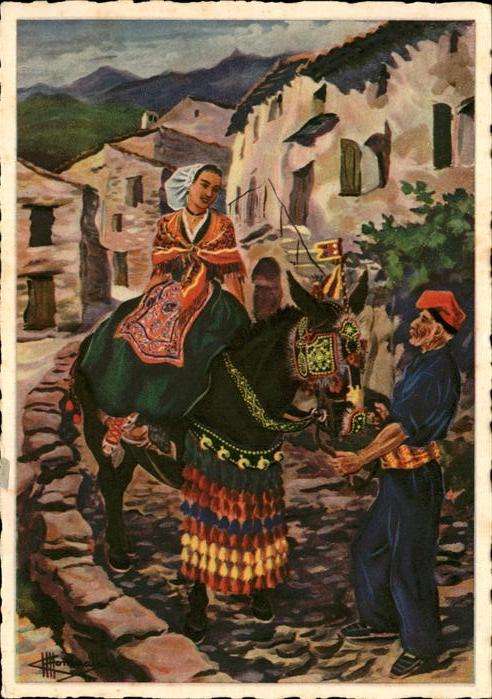 Esel Tiere Tracht Spanien Mulet Harnache
