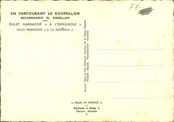 Esel Tiere Tracht Spanien Mulet Harnache – Bild 2