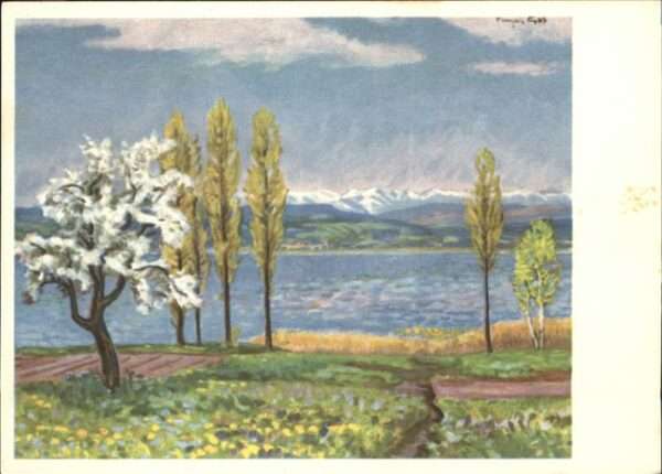 Kuenstlerkarte Murtensee Lac de Morat Pro Infirmis Gos
