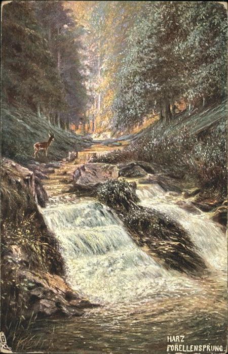 Verlag Tucks Oilette Nr. 206 B Harz Der Forellensprung