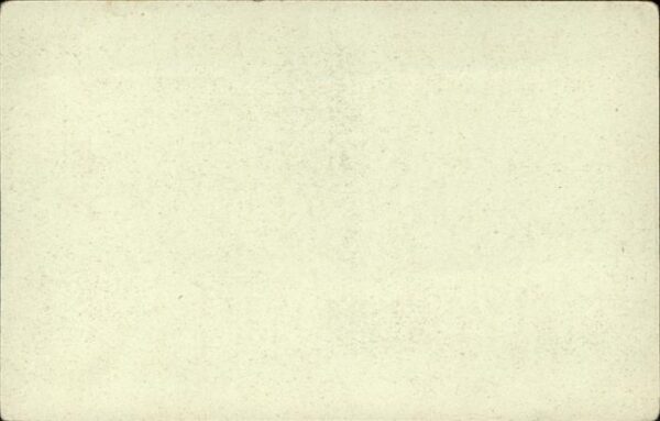 Stereoscopkarte Interlaken Jungfrau – Bild 2