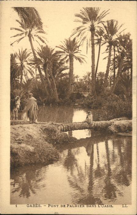 Gabes Pont de palmier dans l'oasis