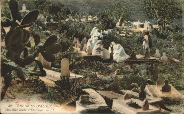 Alger Algerien Cimetiere arabe d_El-Kator