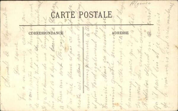 Alger Algerien Cimetiere arabe d_El-Kator – Bild 2