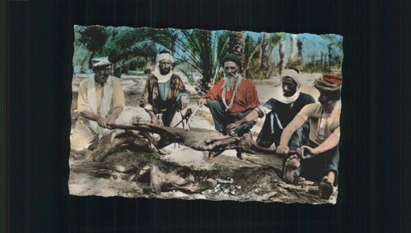Alger Algerien Le Mechoui un roti en plein air Scenes