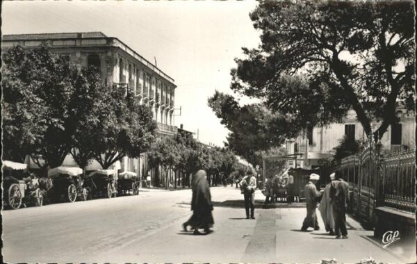 Guelma Avenue Sadi Carnot