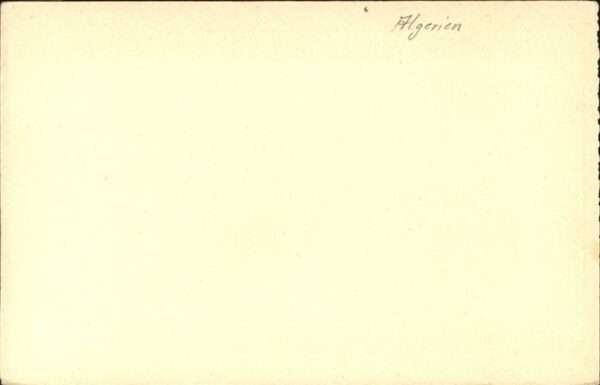 Bou Saada Oase Kamel Künstlerkarte – Bild 2