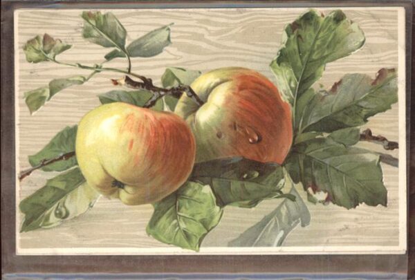 Obst Äpfel