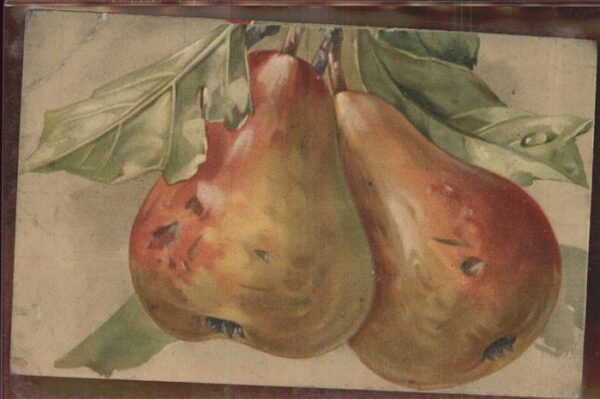 Obst Birnen