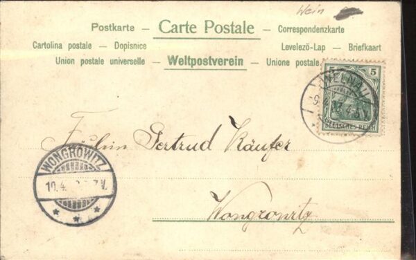 Jagd Kind Wein Schiessbogen Jugend Nr. 324 – Bild 2