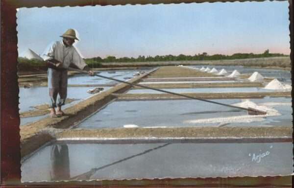 Salzgewinnung Ile d_Oleron Marais Salants
