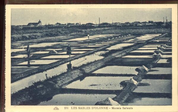Salzgewinnung Sables d_Olonne Marais Salants