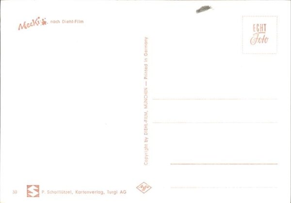 Mecki Nr. 30 angeln Frosch – Bild 2