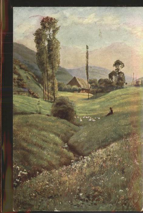 Hoffmann Heinrich Schwarzwald-Idyll Landwassereck Serie I