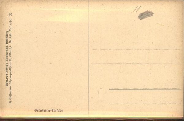 Hoffmann Heinrich Nr. 196 Grünfutter-Einfuhr Schwarzaldha – Bild 2
