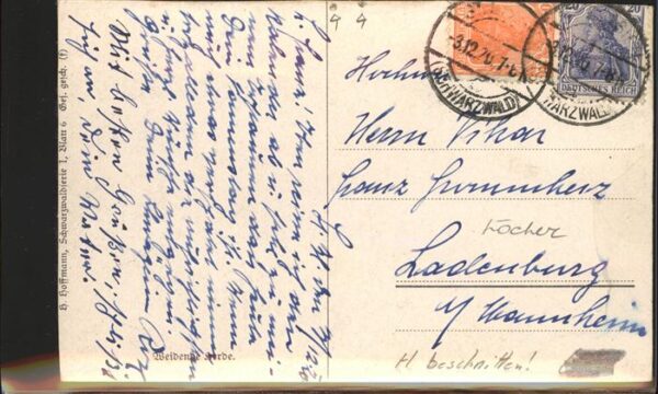 Hoffmann Heinrich Herde Kühe Schwarzwaldserie I Blatt 6 – Bild 2
