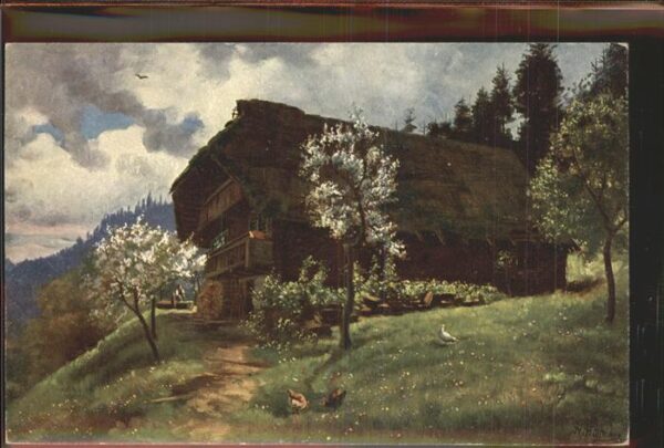 Hoffmann Heinrich Nr. 177 Schwarzwaldhaus Frühling