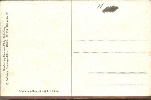 Hoffmann Heinrich Nr. 175 Schwarzwaldhaus auf der Höhe Ki – Bild 2