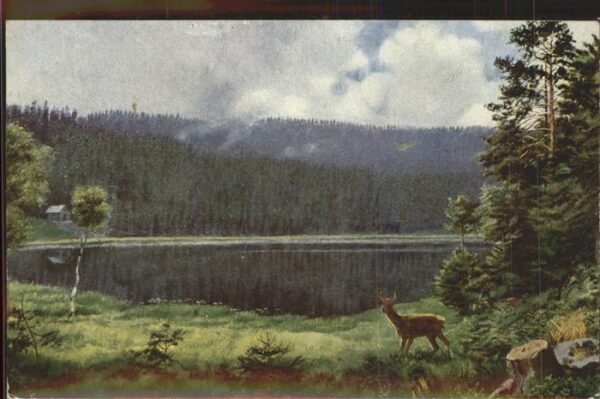 Hoffmann Heinrich Nr. 225 Schurmsee Schwarzwald Reh