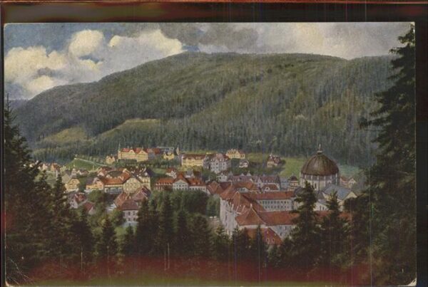 Hoffmann Heinrich Nr. 204 St. Blasien Schwarzwaldserie II
