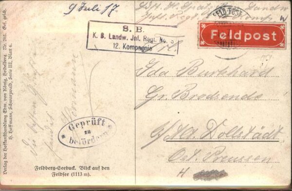 Hoffmann Heinrich Nr. 203 Feldberg-Seebuck Feldsee – Bild 2
