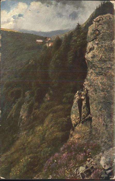 Hoffmann Heinrich Schlucht Vogesenserie III Blatt 15