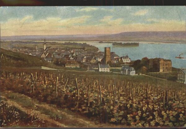 Hoffmann Heinrich Nr. 14 Rüdesheim Weinberg