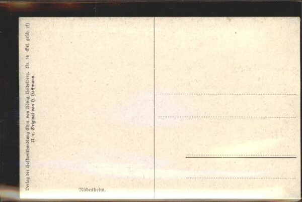 Hoffmann Heinrich Nr. 14 Rüdesheim Weinberg – Bild 2
