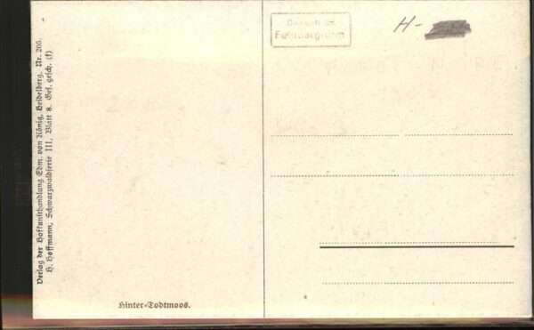 Hoffmann Heinrich Nr. 205 Hinter-Todtmoos Schwarzwaldhäus – Bild 2