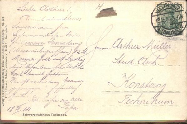 Hoffmann Heinrich Nr. 222 Schwarzwaldhaus Todtmoos – Bild 2