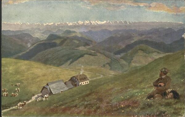 Hoffmann Heinrich Nr. 208 Bad Belchen Hotel und Alpenblic
