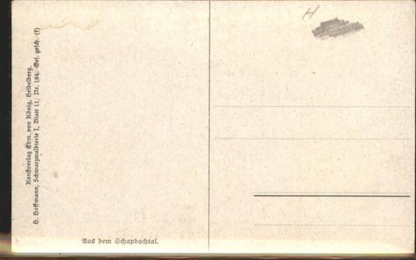 Hoffmann Heinrich Nr. 184 Schapbachtal Schwarzwaldhaus – Bild 2