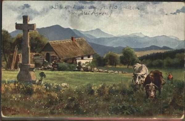 Hoffmann Heinrich Hohnack drei Ähren Bauernhaus Kühe